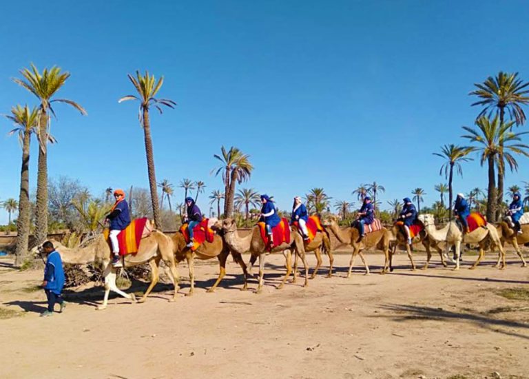 Comparatif excursions Marrakech privées vs groupes