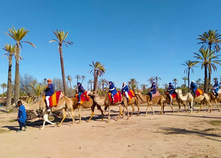 Excursions en groupe Marrakech