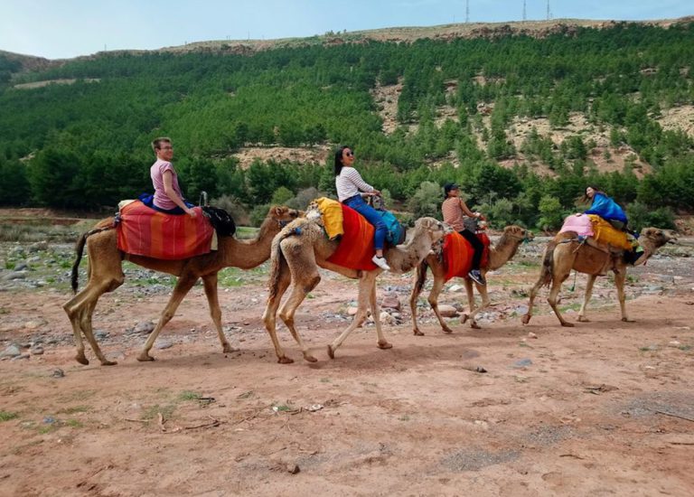 Excursion cheval et chameau Marrakech